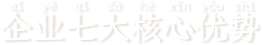 企业七大核心优势