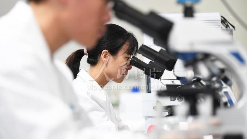 食品级酶原料的“生命之源”：揭秘其来源与质量标准**