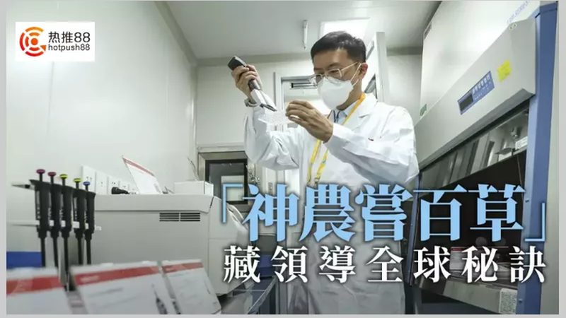CDMO代工费用差异背后，藏着哪些定价逻辑