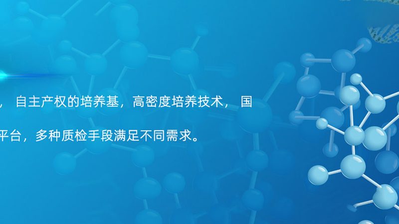 工业酶厂家排名背后的考量因素