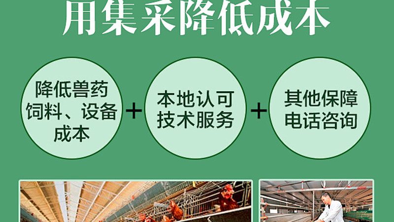 CDMO服务流程揭秘：从研发到生产的关键环节