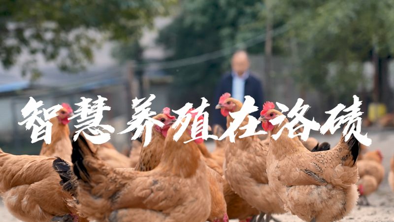 上海CDMO公司：医药研发背后的“隐形英雄
