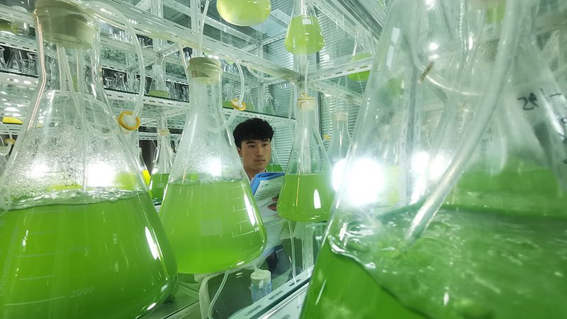 生物试剂标准物质认证，那些你不可不知的要点**